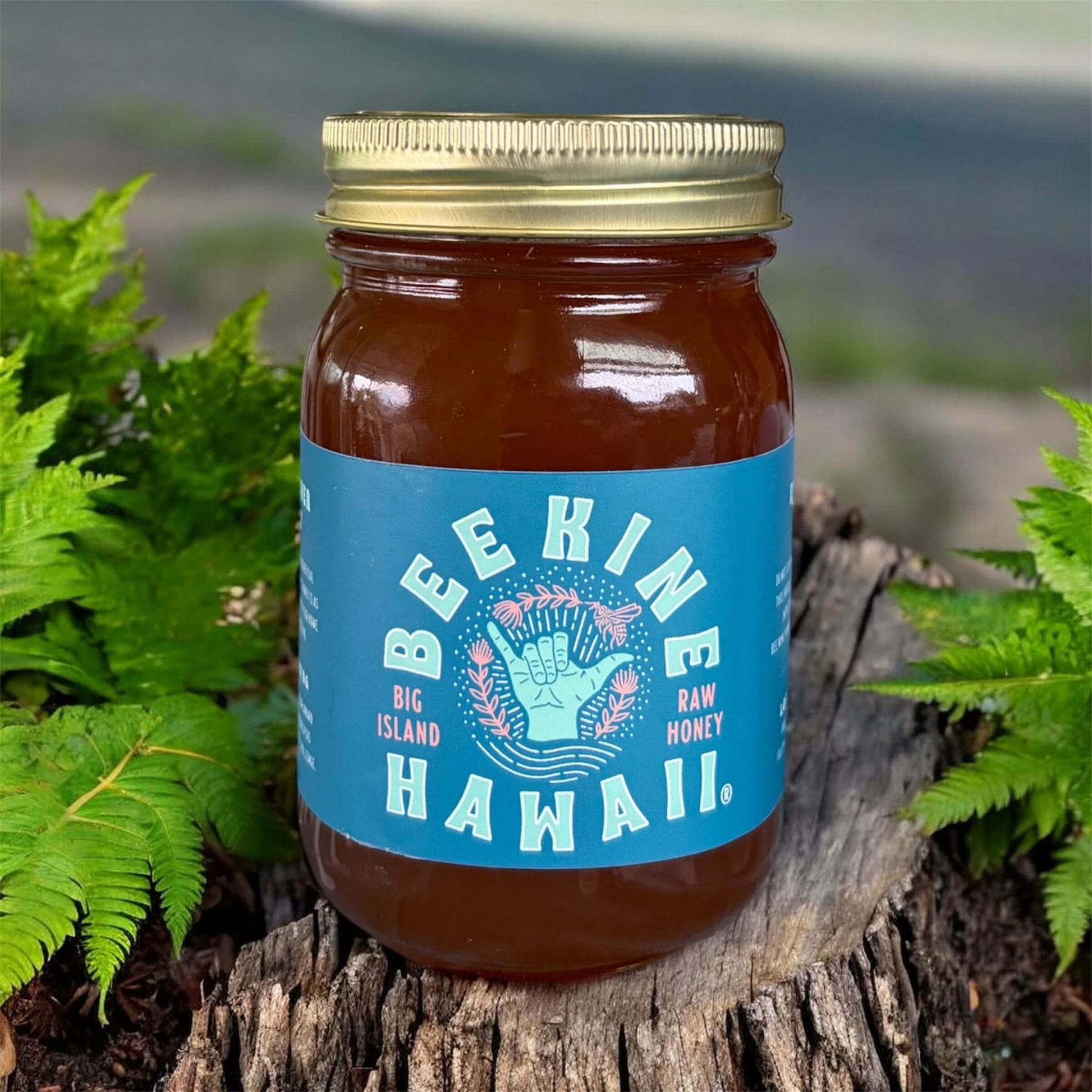 raw Hawaiian honey pint jar on natural wood log Big Island Hawaii
