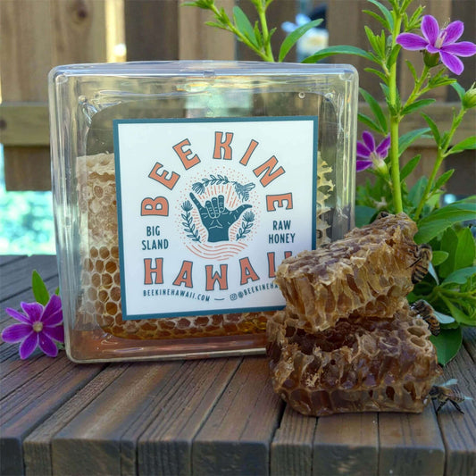raw Hawaiian honeycomb Big Island Hawaii fresh edible beeswax honeycomb natural honey